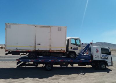 Gruas TCS