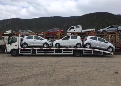 Gruas TCS